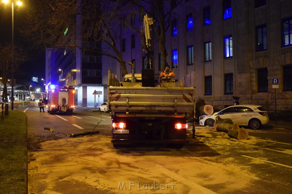 Baum auf PKWs Koeln Mitte Rheinuferstr Goldgasse P104.JPG - Miklos Laubert